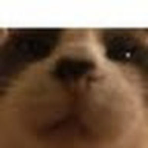 Meet your Posher, Akiko